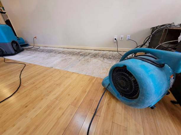 Professional Water Damage Repair technician working in Winlock, WA